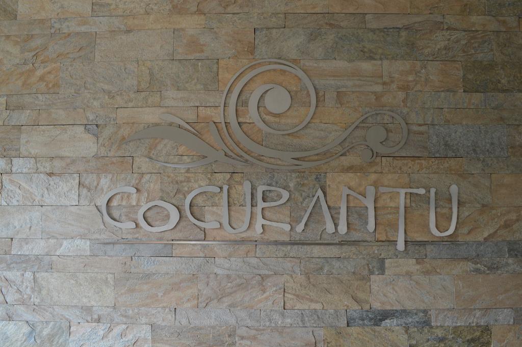 Cocurantu Hotel Boutique Pucón Exteriér fotografie